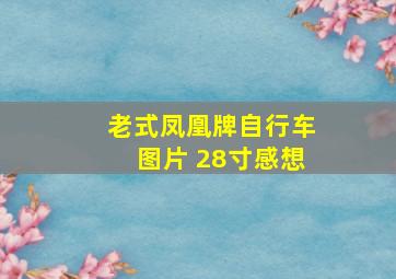 老式凤凰牌自行车图片 28寸感想